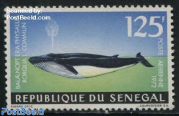 Senegal 1972 125F, Stamp Out Of Set, Mint NH, Nature - Sea Mammals - Sénégal (1960-...)