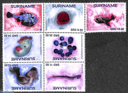 Suriname, Republic 2018 Mariana Marine Life 7v, Mint NH, Nature - Fish - Vissen