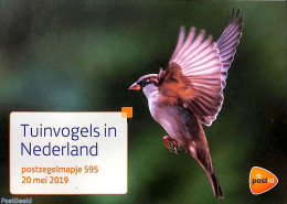 Netherlands 2019 Garden Birds, Presentation Pack 595, Mint NH, Nature - Birds - Unused Stamps