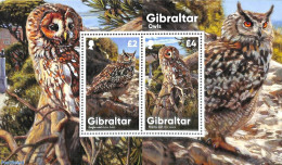 Gibraltar 2020 Owls S/s, Mint NH, Nature - Birds - Birds Of Prey - Owls - Gibraltar
