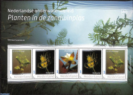 Netherlands - Personal Stamps TNT/PNL 2022 Planten In De  Zandwinplas 5v M/s, Mint NH, Nature - Flowers & Plants - Autres & Non Classés