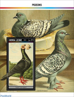Sierra Leone 2023 Pigeons, Mint NH, Nature - Birds - Pigeons - Autres & Non Classés