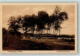 11030511 - Schafe Lueneburger Heide - Heidschnuckenherde - Autres & Non Classés