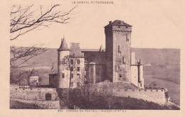 15-Chateau De Pesteil - Autres & Non Classés