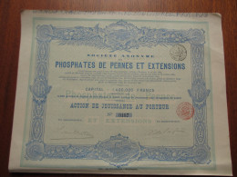 BELGIQUE - PHOSPHATES DE PERNES ET EXTENTIONS - ACTION DE JOUISSANCE - 1891 - Autres & Non Classés