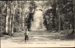 CPA Boissy Saint Leger Val De Marne, Chateau Du Piple, Le Parc - Other & Unclassified