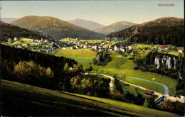 CPA Bad Herrenalb Im Schwarzwald, Panorama - Altri & Non Classificati