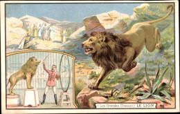 Lithographie Reklame, Lombard Chocolate, The Great Hunts, The Lion, Löwe, Zirkus - Publicité