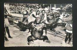 Gorille Male Adulte, Ed Hoa-Qui, N° 1516 - Non Classés