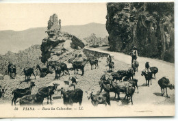 2A- CORSE -   PIANA - Dans Les Calanches - Autres & Non Classés