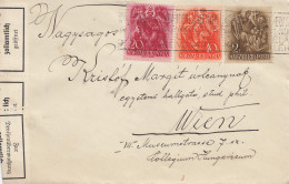 Ungarn: 1938: Brief Nach Wien, Zollamtlich Geöffnet - Other & Unclassified