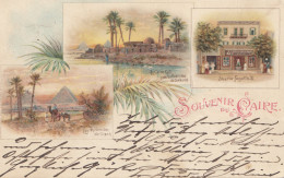 Ägypten/Egypte: 1903 Ansichtskarte Cairo Nach Delmenhorst - Other & Unclassified