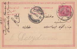 Ägypten/Egypte: 1898: Ganszache Tanta  - Sonstige & Ohne Zuordnung