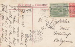 Australien: 1911: Postcard Tasmania To Belgium/Antwerp - Other & Unclassified
