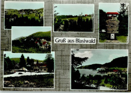 11072111 - Blasiwald - Schluchsee