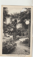 Muret 31  Carte Non Circulée  Hotel PIGOT -Mr Mme Eug Lasserre Née Pigot  Proprietaire Terrasse Palmeraie Voir Scan 1922 - Muret