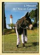 17. ILE D'OLERON – L'histoire De  L'Ane En Culotte (voir Scan Recto/verso) - Ile D'Oléron
