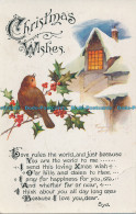 R003988 Greeting Postcard. Christmas Wishes. House And Bird. W. And K. London. 1 - Autres & Non Classés