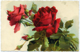 G.900   C. KLEIN (?) - Fiori - Rose - Flowers - Roses - 1934 - Klein, Catharina