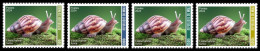 MALI 2024 SET 4V - SNAIL SNAILS SHELL SHELLS ESCARGOT ESCARGOTS COQUILLAGE COQUILLAGES - MNH - Coquillages