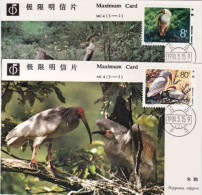 1984-Cina China MC4, Ibis Maximum Cards - Lettres & Documents