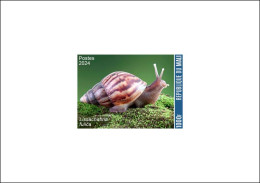 MALI 2024 DELUXE PROOF - SNAIL SNAILS SHELL SHELLS ESCARGOT ESCARGOTS COQUILLAGE COQUILLAGES - Coneshells