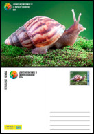 MALI 2024 STATIONERY CARD - SNAIL SNAILS SHELL SHELLS ESCARGOT ESCARGOTS COQUILLAGE COQUILLAGES - Conchiglie