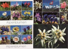 Fleurs Des Alpes - 7 Cp - Flowers