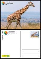 MALI 2024 STATIONERY CARD - GIRAFFE GIRAFFES GIRAFE GIRAFES - Giraffen