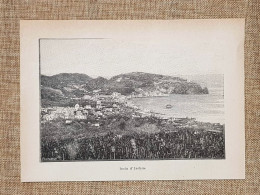 Veduta Dell'Isola D'Ischia Del 1897 Isole Flegree Napoli Campania - Vor 1900