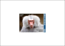 MALI 2024 DELUXE PROOF - MONKEY MONKEYS APES APE BABOON BABOONS SINGE SINGES PRIMATES AFFEN - Monkeys