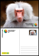 MALI 2024 STATIONERY CARD - MONKEY MONKEYS APES APE BABOON BABOONS SINGE SINGES PRIMATES AFFEN - Monkeys