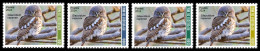 MALI 2024 SET 4V - OWL OWLS BIRDS OISEAUX HIBOUX HIBOU - MNH - Uilen