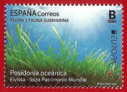 España. Spain. 2024. EUROPA. Flora Y Fauna Submarina. Posidonia Oceánica - Unused Stamps