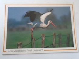 D203120  Birds - Stork Cigogne Stroch - Lot Of 3 Postcards - OOIEVAARDORP  Het Liesveld - Oiseaux