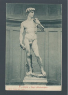 CPA - Arts - Sculptures - Firenze - David (Michelangelo) - Non Circulée - Sculptures