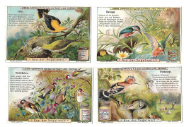 S 651, Liebig 6 Cards, Aus Der Vogelwelt  (German)  (ref B15) - Liebig
