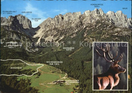 72570733 Ellmau Tirol Alpengasthof Wochenbrunn  Ellmau - Autres & Non Classés