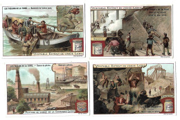 S 650, Liebig 6 Cards, Les Trésors De La Terre  (ref B15) - Liebig