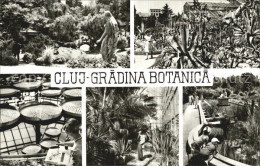 72569734 Cluj-Napoca Gradina Botanica Cluj-Napoca - Roumanie