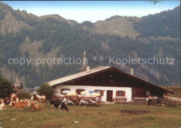 72568768 Kirchdorf Tirol Prost Alm  Kirchdorf In Tirol Wilder Kaiser - Autres & Non Classés