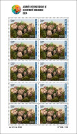 MALI 2024 MS 10V - MUSHROOM MUSHROOMS TERFEZIA TERFESSE CHAMPIGNON CHAMPIGNONS - MNH - Pilze