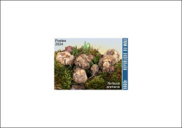 MALI 2024 DELUXE PROOF - MUSHROOM MUSHROOMS TERFEZIA TERFESSE CHAMPIGNON CHAMPIGNONS - Pilze