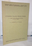 Cenozoic Plants From Congo I - Fossil Woods From Miocene Of Lake Albert - Sciences