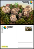 MALI 2024 STATIONERY CARD - MUSHROOM MUSHROOMS TERFEZIA TERFESSE CHAMPIGNON CHAMPIGNONS - Mushrooms