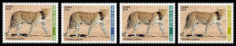 MALI 2024 SET 4V - LEOPARD CHEETAH PANTHERA PARDUS FELIN FELINS WILD CATS CAT - MNH - Big Cats (cats Of Prey)