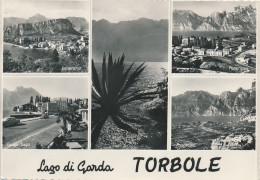 G.934   Lago Di Garda - TORBOLE - Trento - Lotto Di 16 Cartoline F.to Grande - Sonstige & Ohne Zuordnung