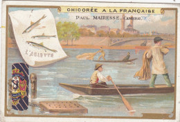 Chromo Chicoree à La Française - Paul Mairesse - Cambrai - Té & Café