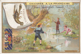 Chromo Chicoree à La Française - Paul Mairesse - Cambrai - Tee & Kaffee