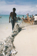 Ile Maurice Pêcheurs De Senne à Pointe Aux Canonniers - Mauritius